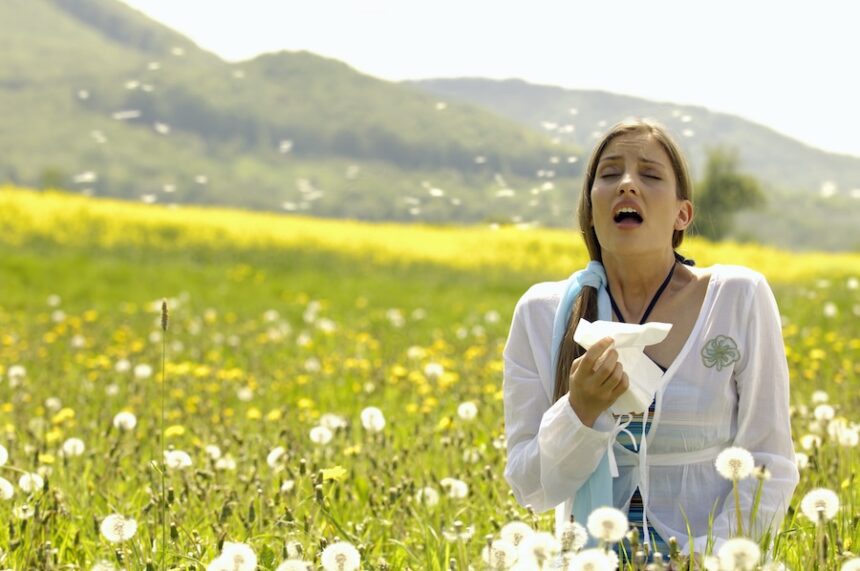 woman sneezing with tissue in meadow 2026 03 26 08 53 37 utc