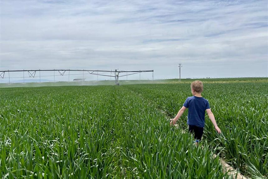 Based on recent weather trends, the next 90 days are likely to have higher than normal temperatures and below normal precipitation. This data has