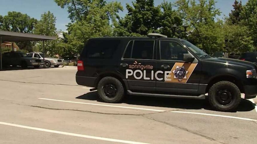 An undated image of a Springville, Utah, police patrol vehicle. | Stuart Johnson, KSL-TV
