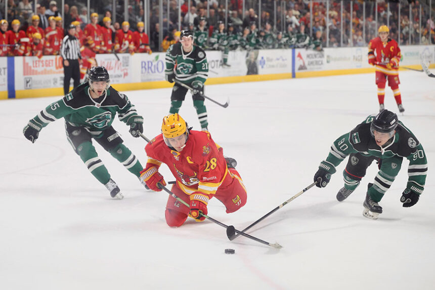 Spud Kings Sam Grimaldi