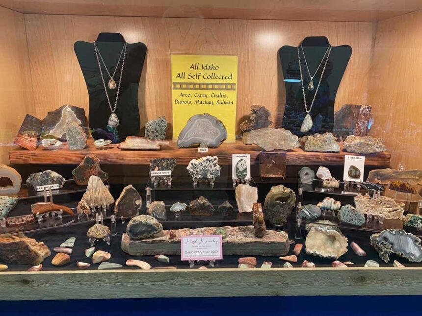 A display case showing rocks found in Idaho at last year's rock show.