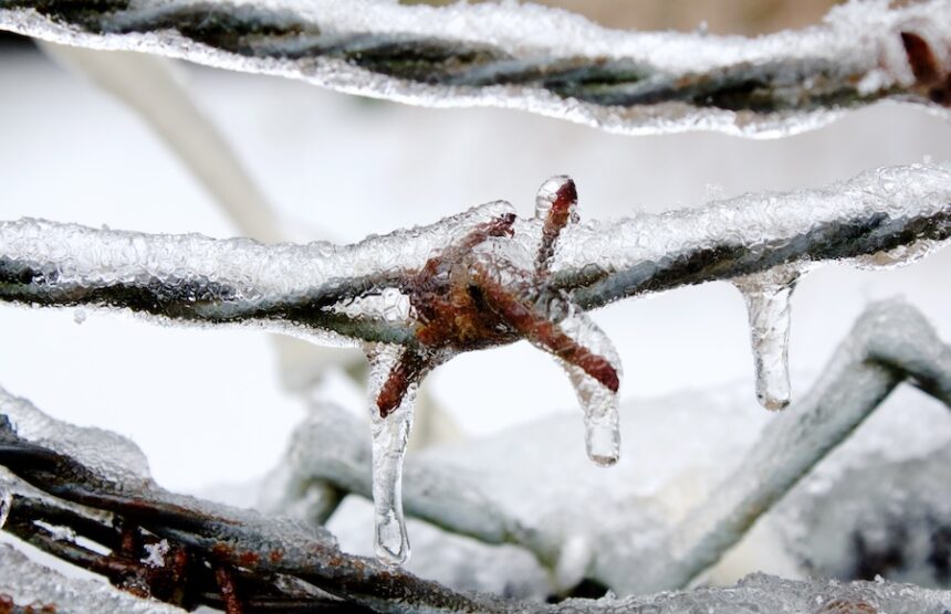 frozen wire 2026 03 17 08 20 36 utc