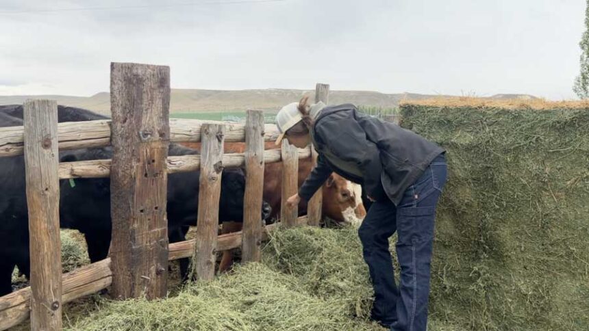Bethany Gotts owns Quey’s Farm in Mountain Home, a 500-acre family operation she took over after her father passed away. With fewer workers, a lot of the manual labor is left up to her.