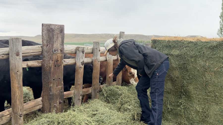 Idaho farmers struggle to find field workers, as many are ‘living in fear’ amid rising immigration enforcement