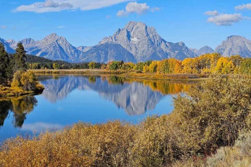 Wyoming’s Mount Moran’s reflection ripples across the waters of Oxbow Bend on a crisp fall day in 2025. (Photo by Rebecca Huntington/WyoFile)