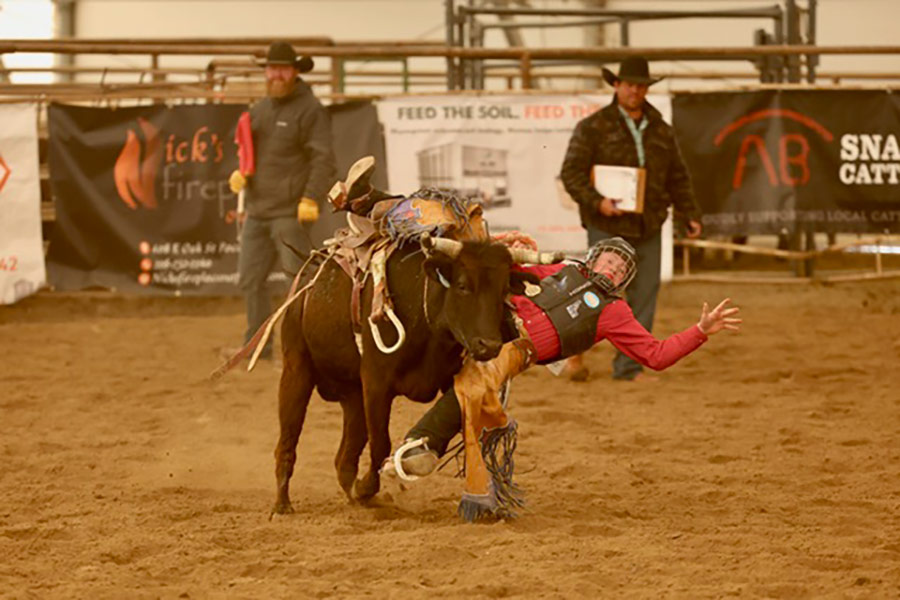 Idaho rodeo D4