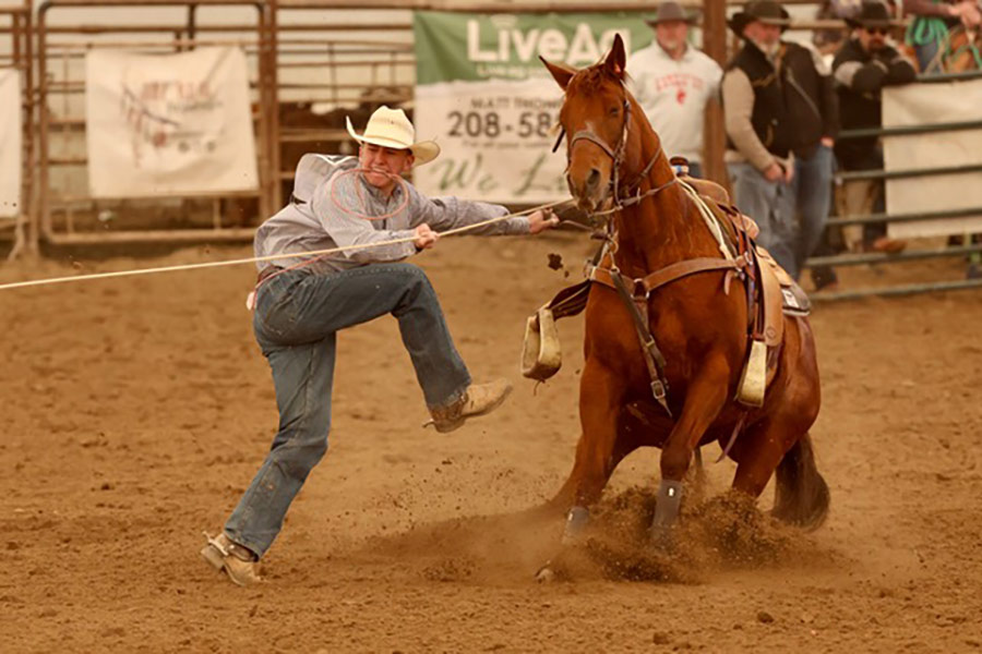Idaho rodeo D4