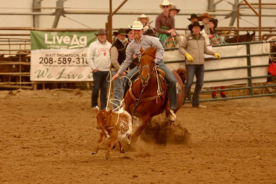 Idaho rodeo D4