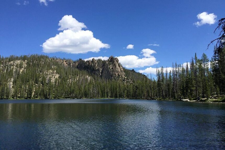 Salmon-Challis National Forest
