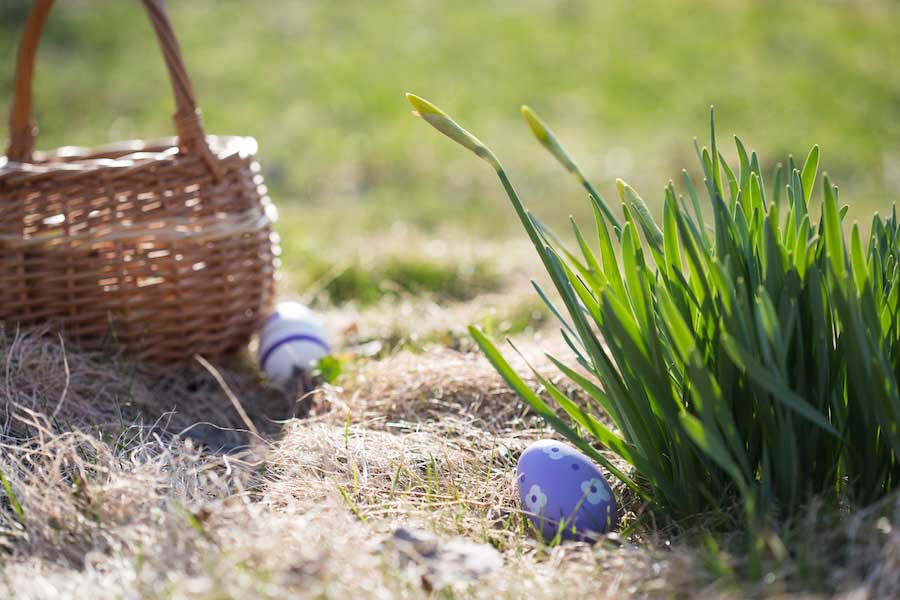 3 killed as high winds topple a tree on an Easter egg hunt in Germany
