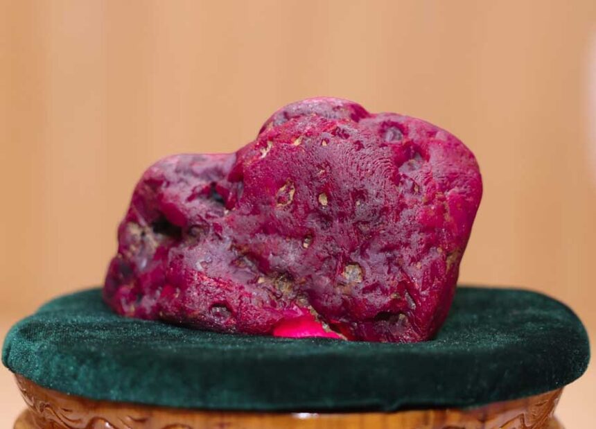 In this photo provided by Myanmar Military True News Information Team on Thursday, May 7, 2026, Myanmar's newly discovered ruby is displayed at president office in Naypyitaw, Myanmar.