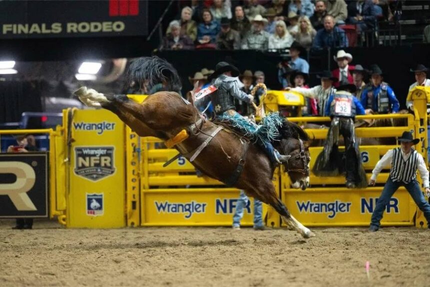 Big Bucks ProRodeo WNFR 2024