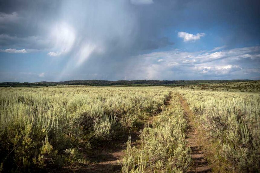 The piece of Idaho state land known as the Driggs 160 parcel is primarily sagebrush and grassland, with views of the Tetons to the southeast.