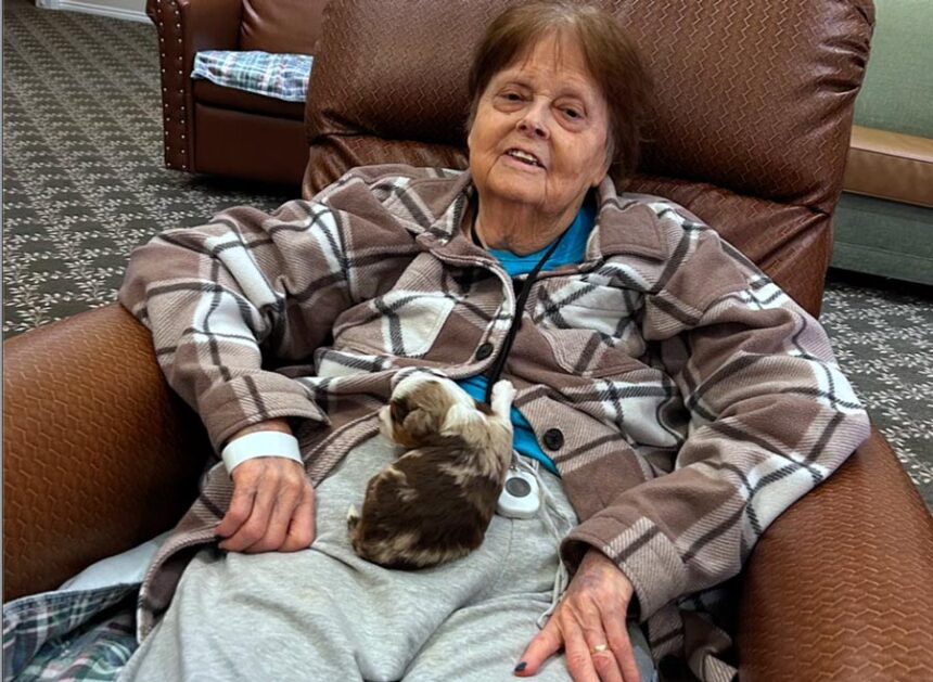 Homestead Senior Living