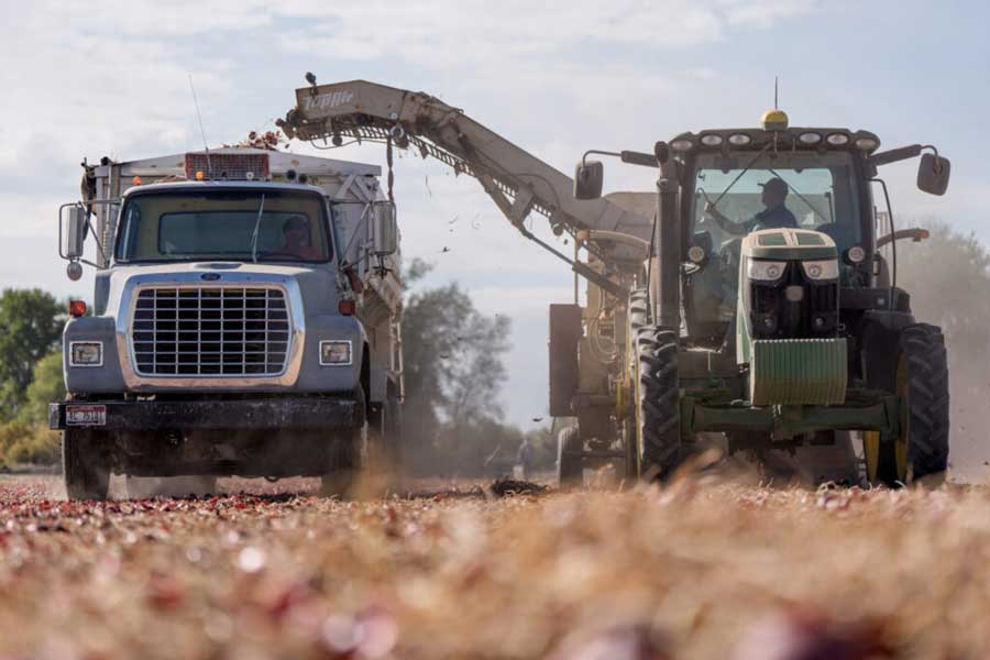 Vermont is first state to ban toxic herbicide paraquat, as others may follow