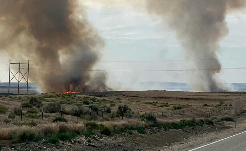 A wildfire, dubbed the Moore Fire, burns near Swan Falls Road, south of Dedication Point, in Ada County on Saturday, May 23, 2026.