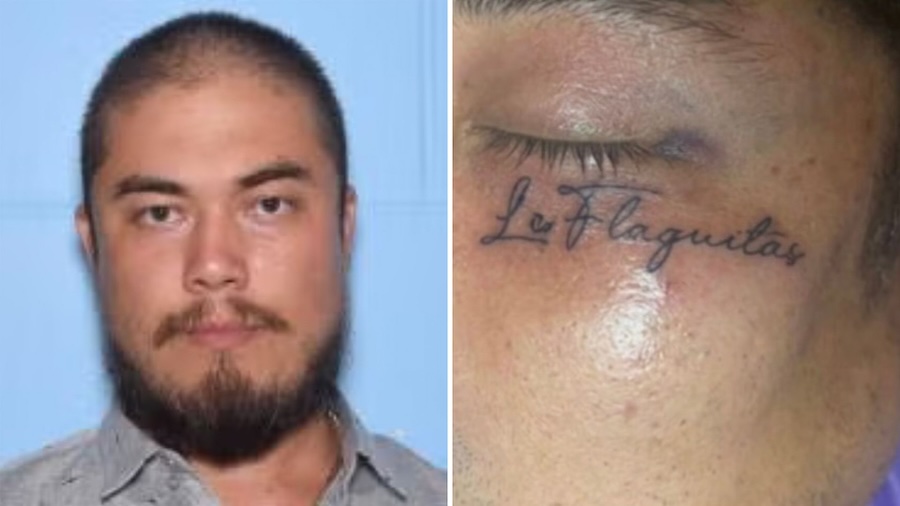Hawaii manhunt ends with arrest of suspect in killings of 3 elderly men, police say