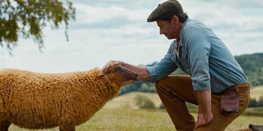 A sheep, voiced by Julia Louis-Dreyfus, and Hugh Jackman appear in a scene from the 2026 film "The Sheep Detectives." | Amazon MGM Studios