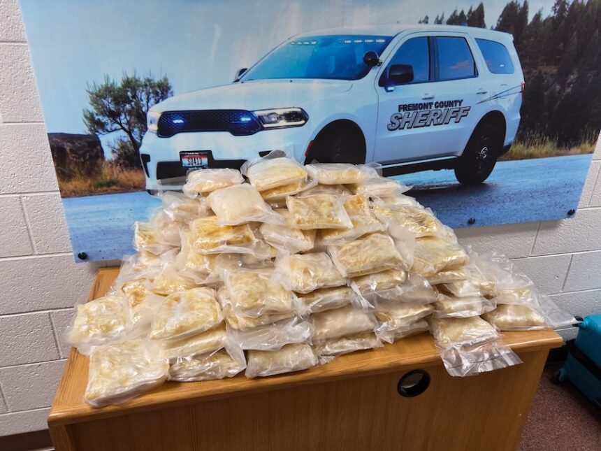 Fremont meth bust