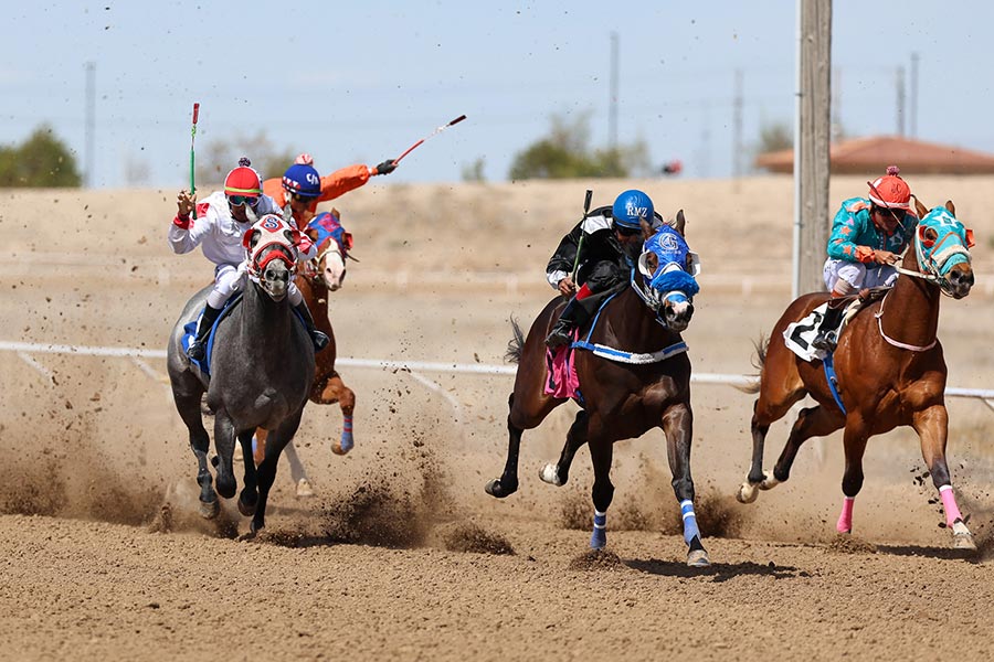 Pocatello Downs horse races