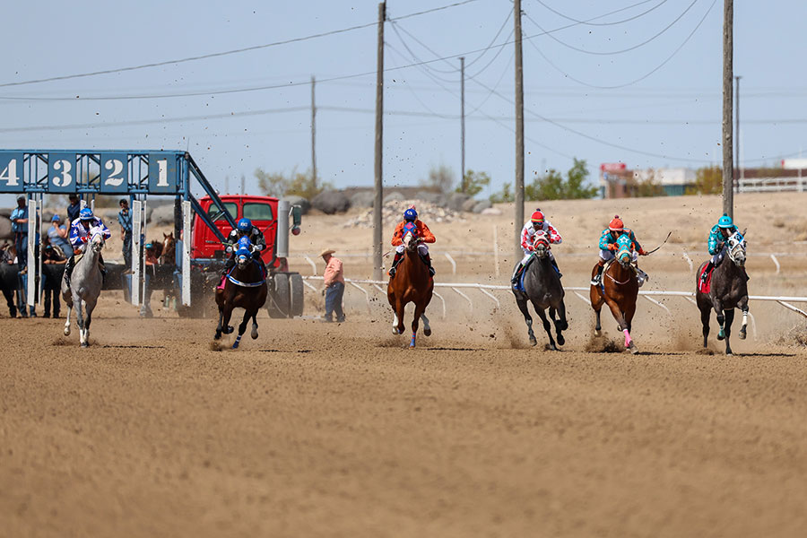 Pocatello Downs horse races