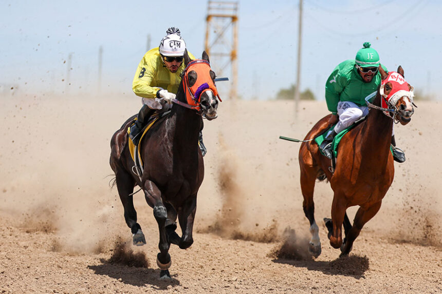 Pocatello Downs horse races