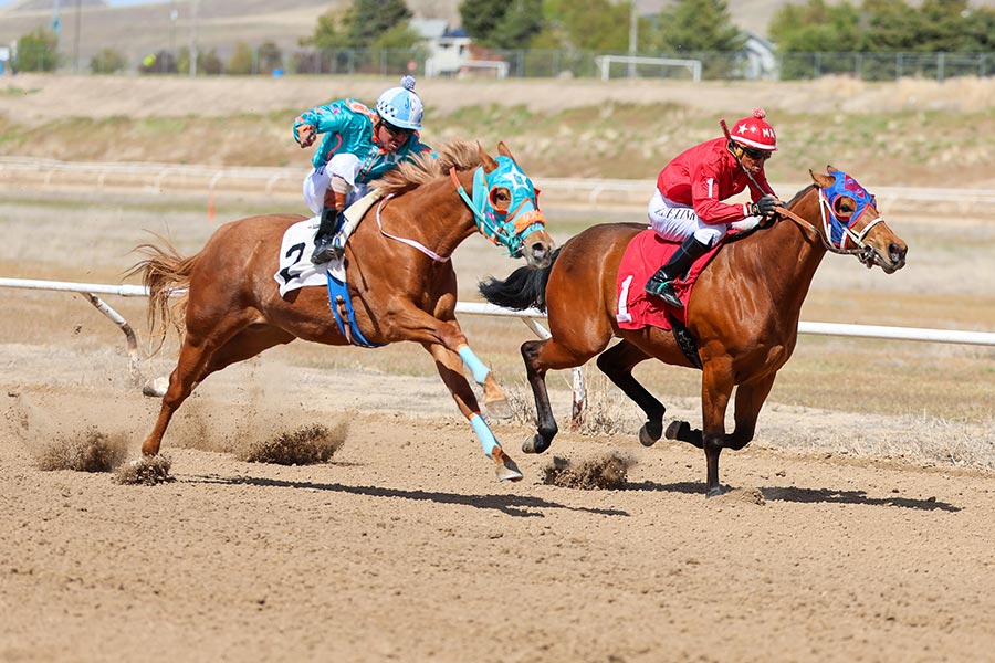 Pocatello Downs horse races