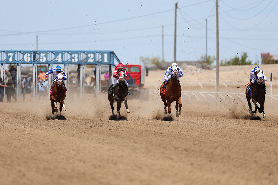 Pocatello Downs horse races