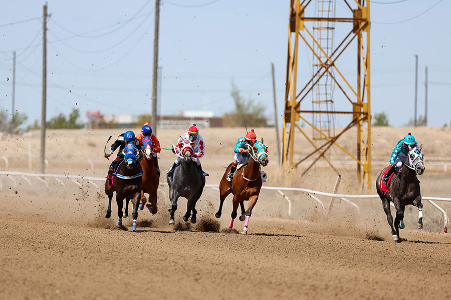 Pocatello Downs horse races
