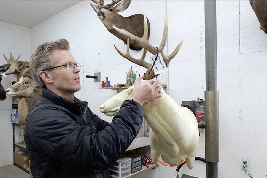Rett Nelson mounting antler on an elk mold during a recent story with EastIdahoNews.com story. | Jordan Wood, EastIdahoNews.com