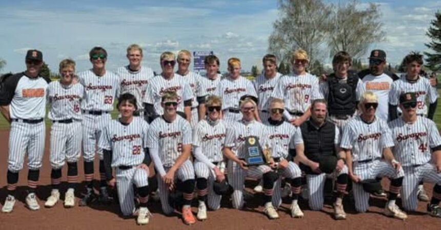 The Salmon baseball team won a district title and finished fourth in the 3A state championships. | Courtesy photo.