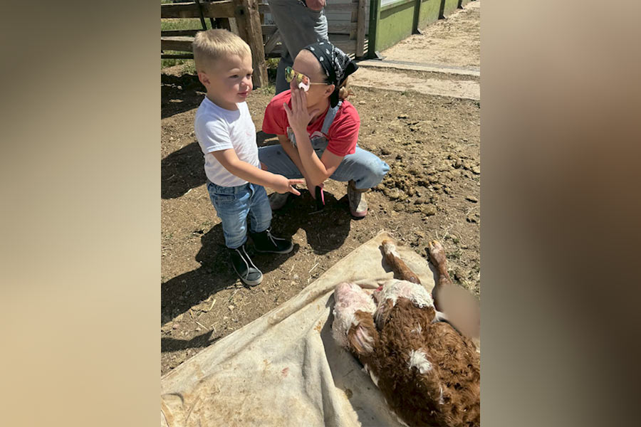 ‘Really wonderful miracle’: Two-headed calf born on Utah ranch