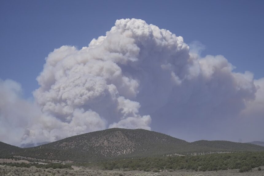 A plume of smoke rises from the Cottonwood Fire, Friday, June 26, 2026, near Beaver, Utah.