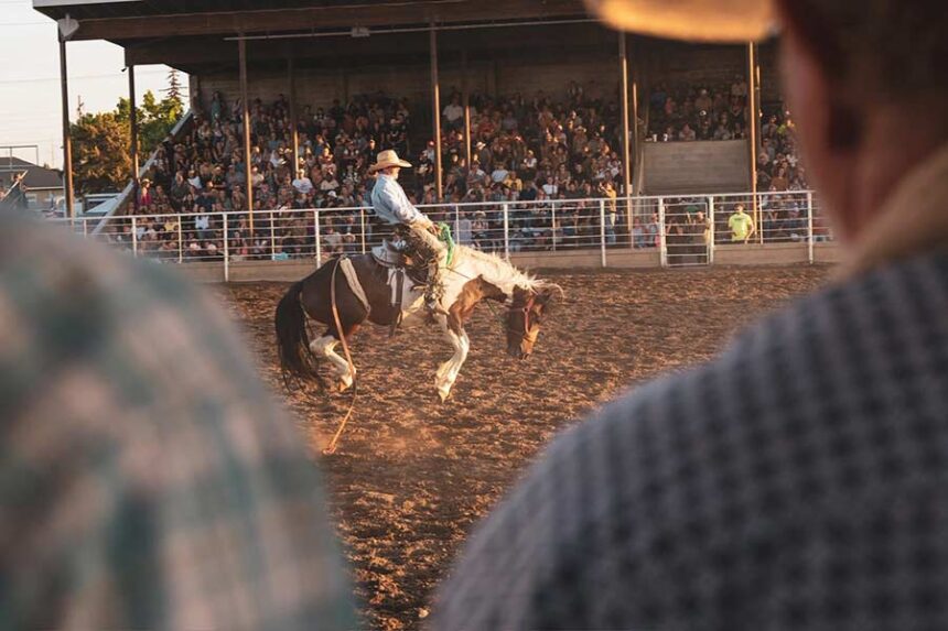 Whoopee Days Rodeo onlookers watch a cowboy on a bucking horse in 2025. | Courtesy Bret Bagley
