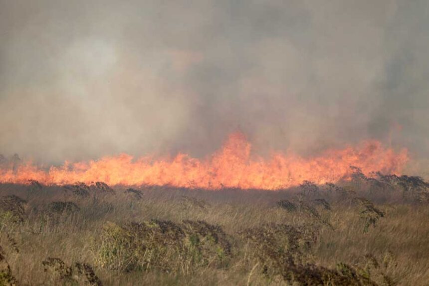 A wildfire burns near the 6000 Block of W. Old Highway 91 in Bannock County on Sunday, June 21, 2026.