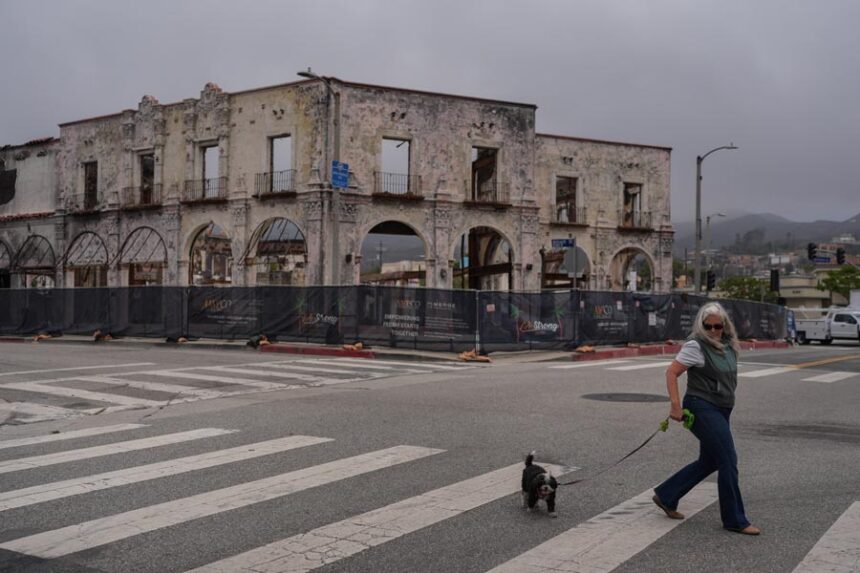 D. Berryman walks her dog, Tiny Dancer, past a fire-damaged building more than a year after the Palisades Fire in the Pacific Palisades neighborhood of Los Angeles, Thursday, June 4, 2026. (AP Photo/Jae C. Hong)