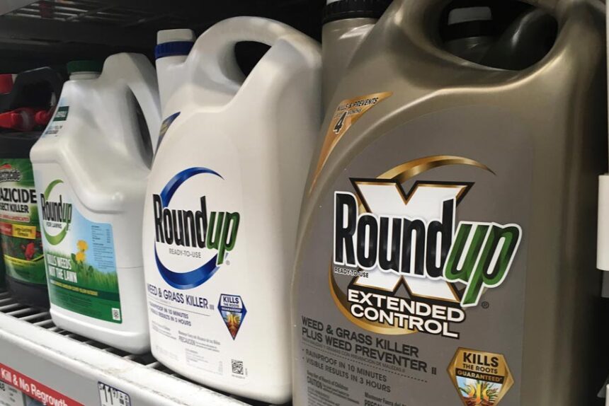 Containers of Roundup are displayed on a store shelf in San Francisco on Feb. 24, 2019. | Haven Daley, Associated Press