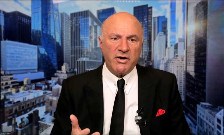 Kevin O'Leary talks to NBC's Salt Lake City affiliate KSL via video call.
