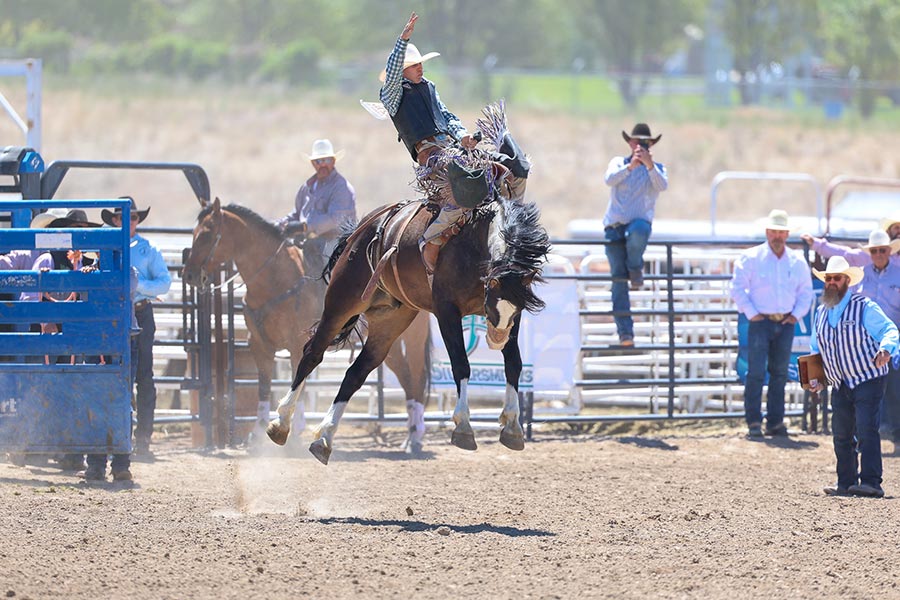 rodeo bareback riding