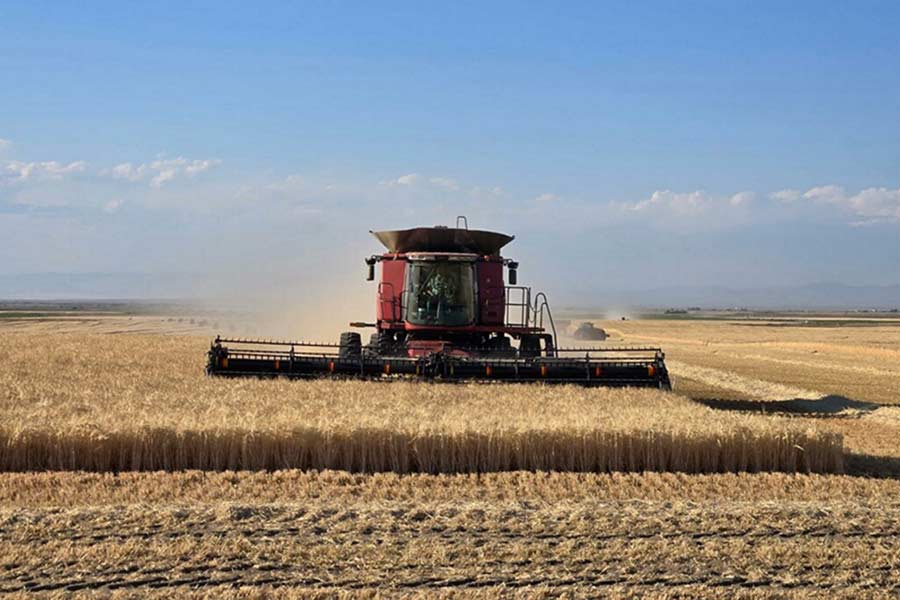 As water crisis deepens, Idaho producers look to farm bill for relief