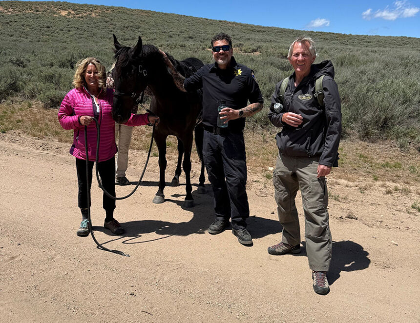 blaine horse