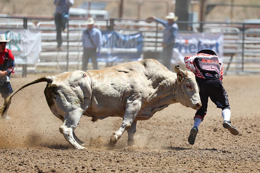Rodeo state finals bullfighter