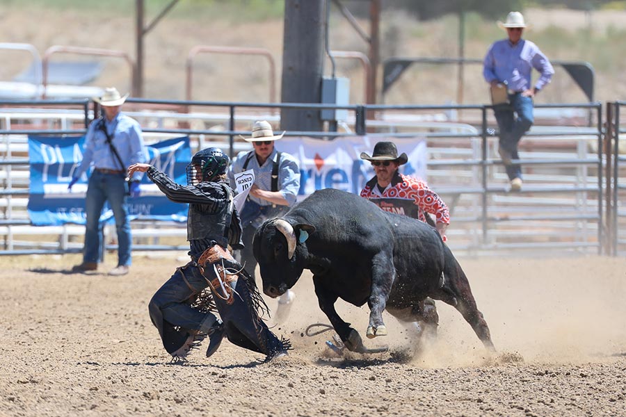 Rodeo state finals bullfighter