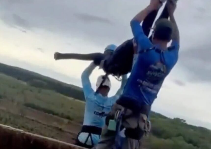 bungee