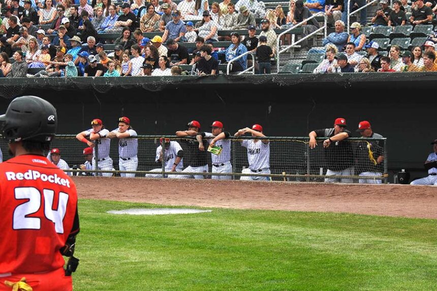 Chukars bench