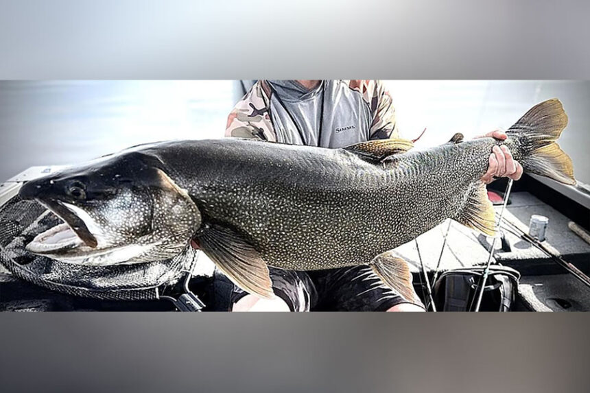 big fish