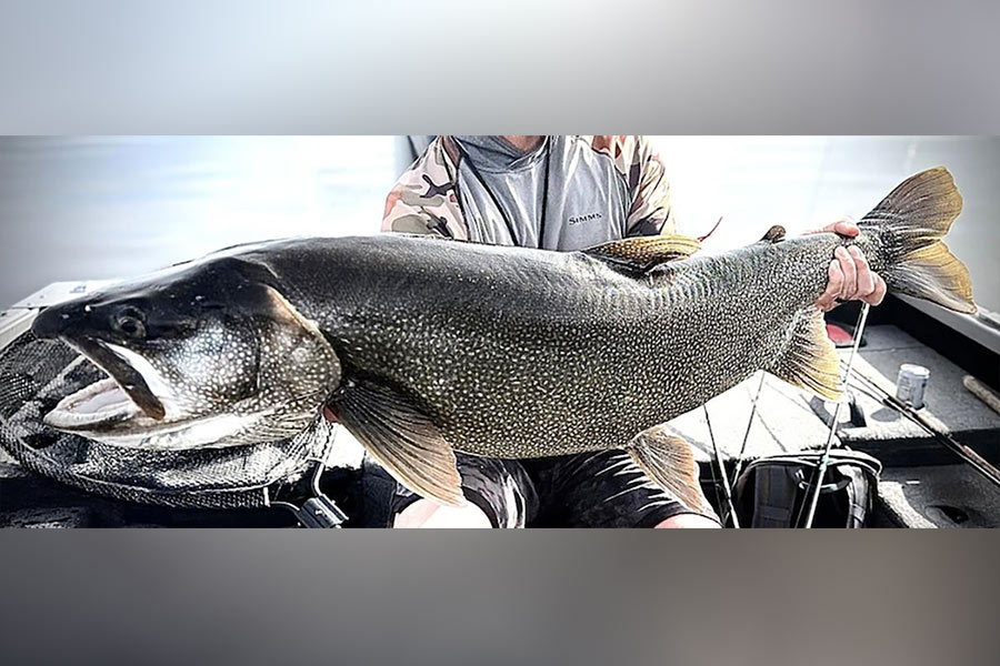 Idaho Falls angler lands 43.25-inch lake trout and returns to the