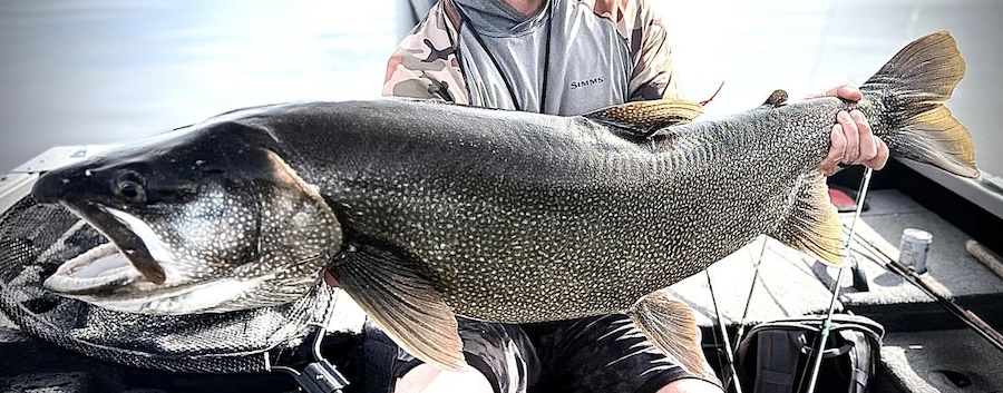 Idaho Falls angler lands 43.25-inch lake trout and returns to the Idaho record books