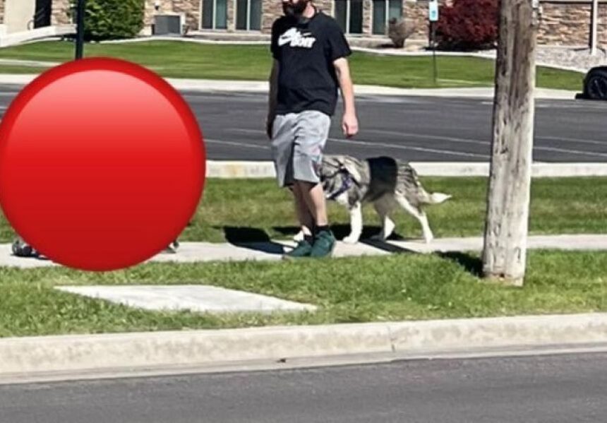 dog abuse 1