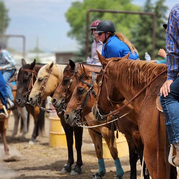 Kids at the Bannock County Fair with their 4-H horses. | Courtesy Nikki Ennis